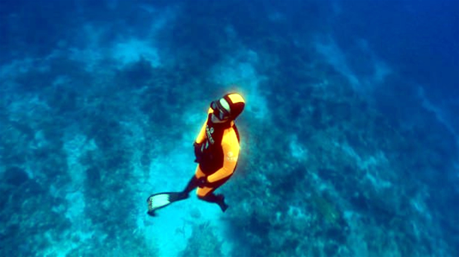 dalkilic2-001.jpg dalkilic2-001.jpg