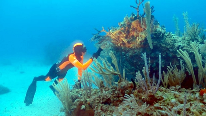 dalkilic3.jpg dalkilic3.jpg