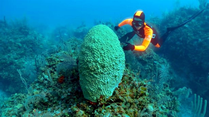 dalkilic4.jpg dalkilic4.jpg