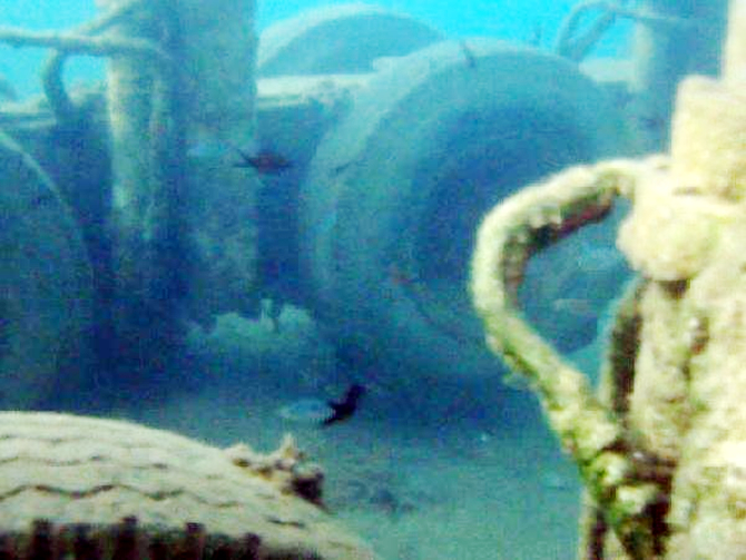 damper.jpg damper.jpg