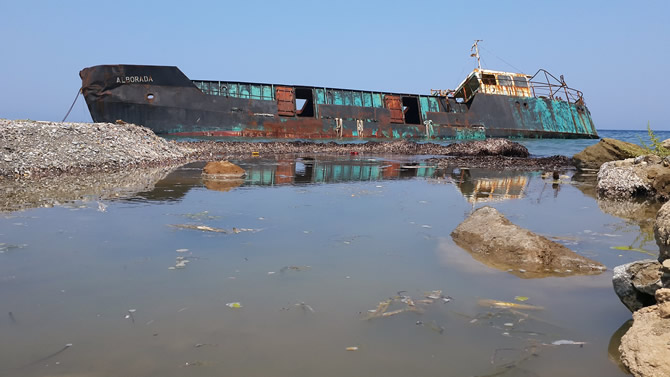 datca_gemi1.jpg datca_gemi1.jpg