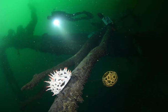 degirmendere2.jpg degirmendere2.jpg