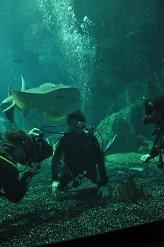 deniz_akkaya.jpg deniz_akkaya.jpg