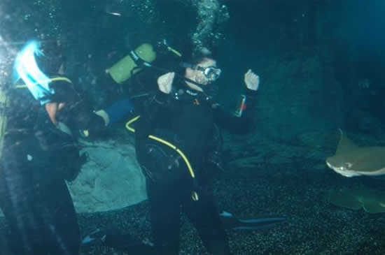 deniz_akkaya1.jpg deniz_akkaya1.jpg