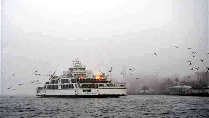 deniz_sis.jpg deniz_sis.jpg