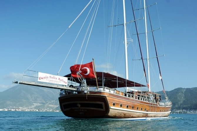 denizfelix_balina_buyuk.jpg denizfelix_balina_buyuk.jpg