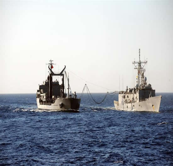 denizkurdu5.jpg