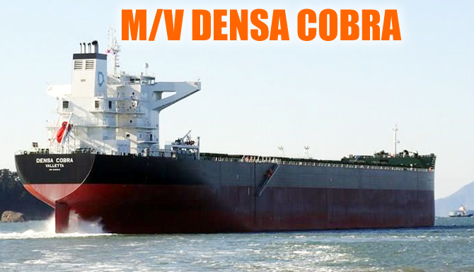 densa_cobra_buyuk.jpg