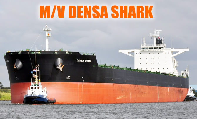 densa_shark_buyuk.jpg