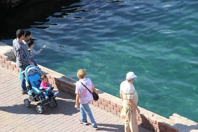 dogal_akvaryum.jpg dogal_akvaryum.jpg