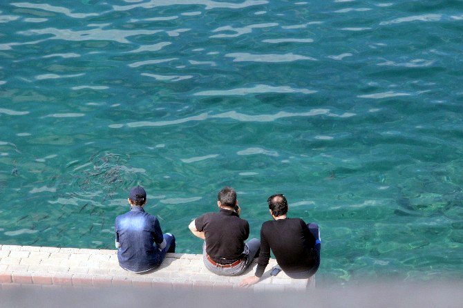 dogal_akvaryum4.jpg dogal_akvaryum4.jpg