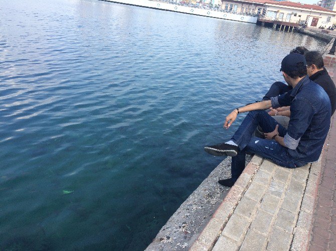 dogal_akvaryum6.jpg dogal_akvaryum6.jpg