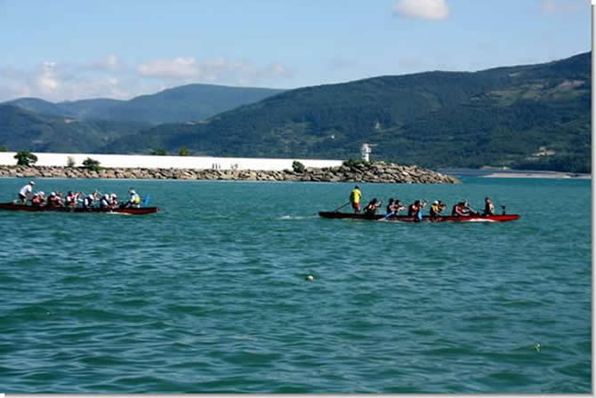 dragon-008.jpg dragon-008.jpg