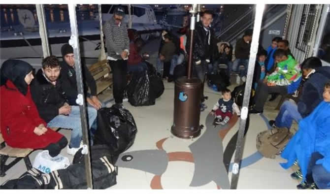 fft256_mf18949226.jpeg fft256_mf18949226.jpeg