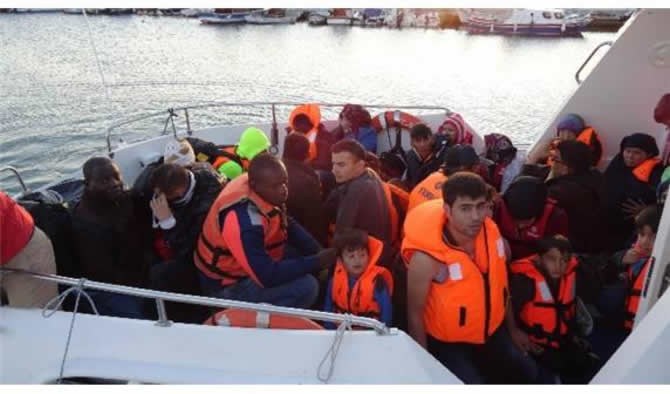 fft256_mf18949244.jpeg fft256_mf18949244.jpeg