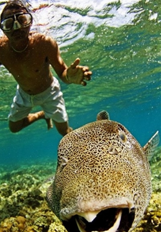 filipin10.jpg filipin10.jpg