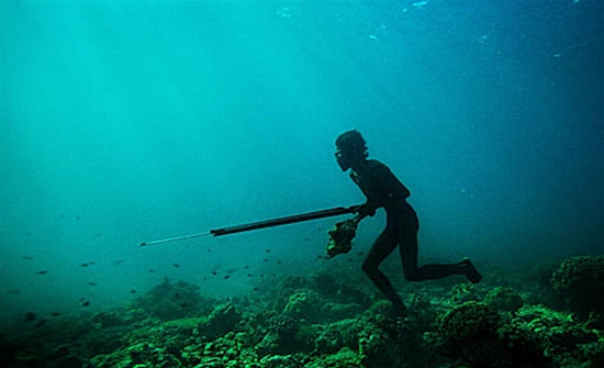 filipin3.jpg filipin3.jpg