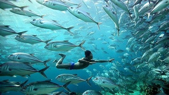 filipin6.jpg filipin6.jpg