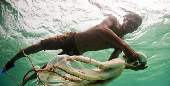 filipin9.jpg filipin9.jpg