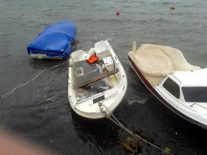 foca-002.jpg foca-002.jpg