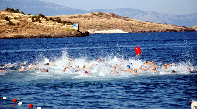 foca-yuzme.jpg foca-yuzme.jpg