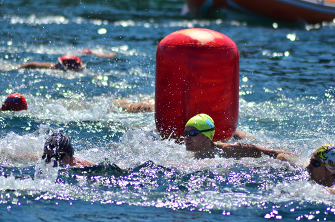 foca-yuzme1.jpg foca-yuzme1.jpg