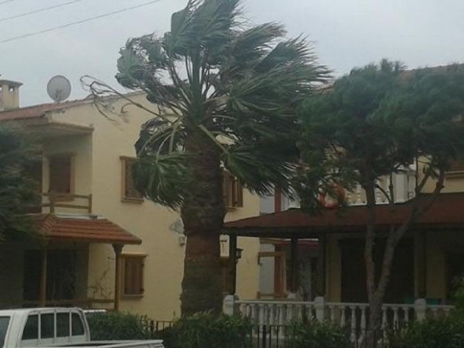 foca3-001.jpg foca3-001.jpg