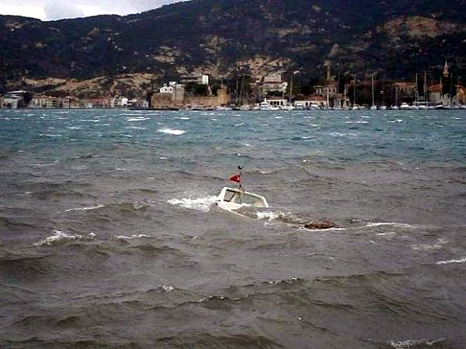 foca4-001.jpg foca4-001.jpg