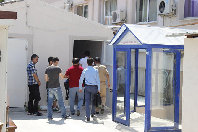 foca_2.jpg foca_2.jpg