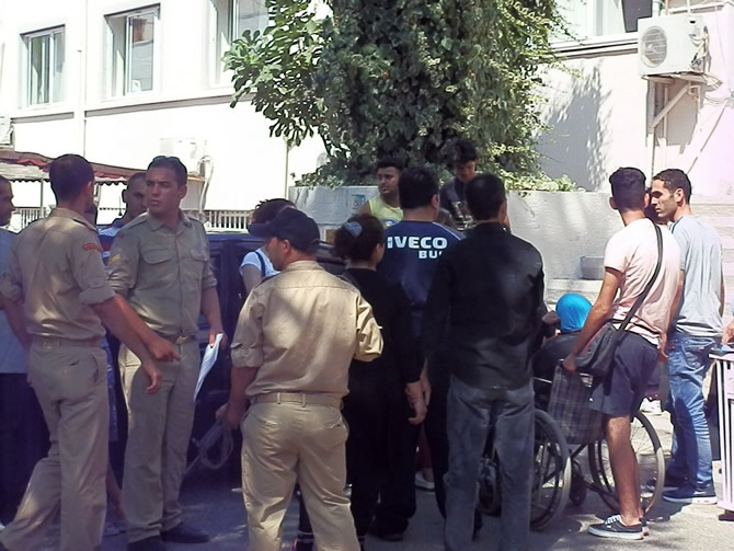 foca_4.jpg foca_4.jpg