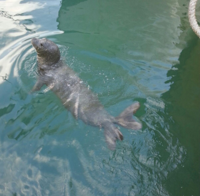 fok-004.jpg fok-004.jpg