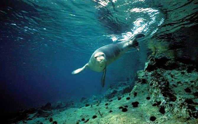 fok-005.jpg fok-005.jpg