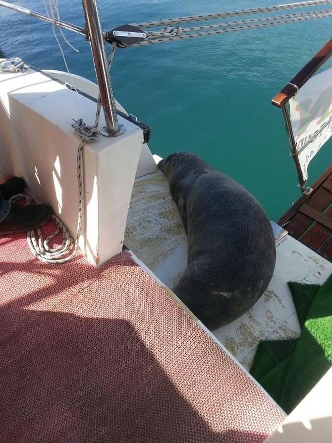 fok1-005.jpg fok1-005.jpg