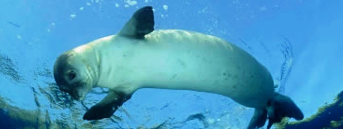 fok1-006.jpg fok1-006.jpg