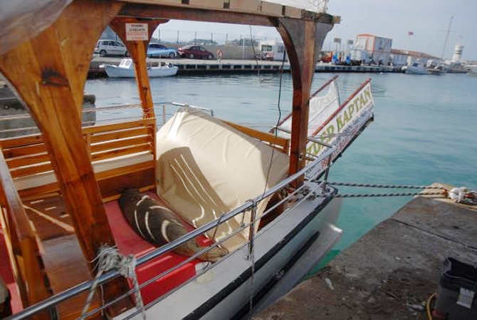 fok2-004.jpg fok2-004.jpg