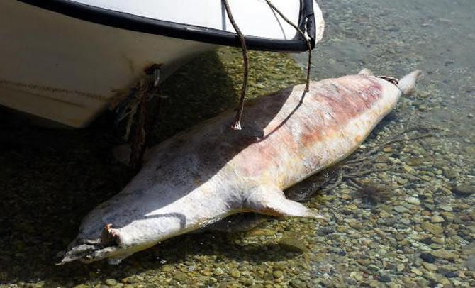 fok2-007.jpg fok2-007.jpg