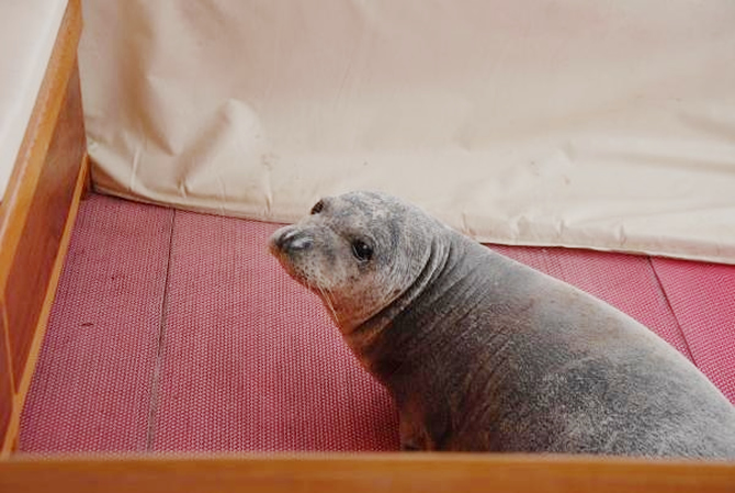 fok3-004.jpg fok3-004.jpg