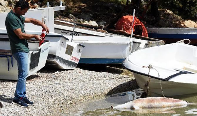 fok3-008.jpg fok3-008.jpg