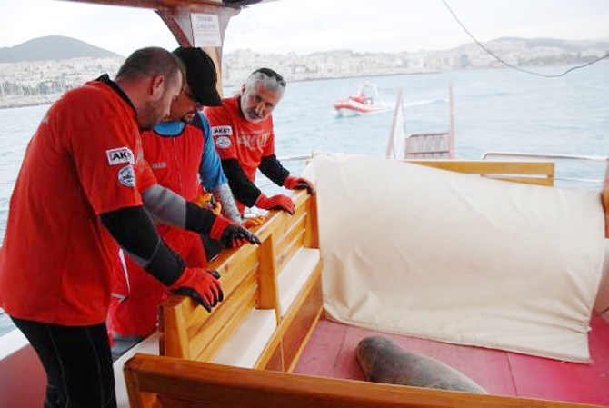 fok4-002.jpg fok4-002.jpg