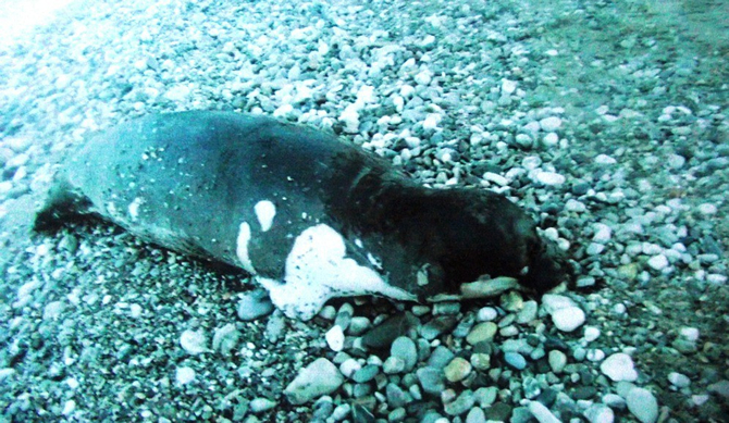 fok4-003.jpg fok4-003.jpg