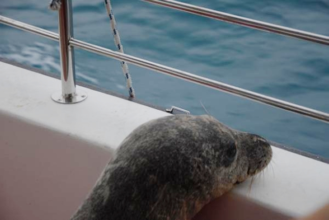 fok6-001.jpg fok6-001.jpg