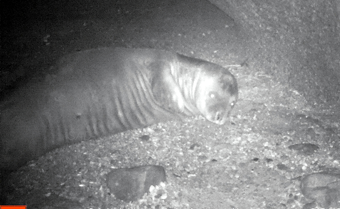 fok_magarada.jpg fok_magarada.jpg