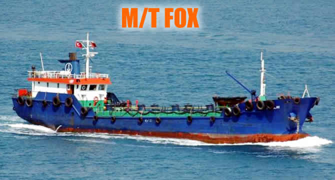 fox_buyuk.jpg