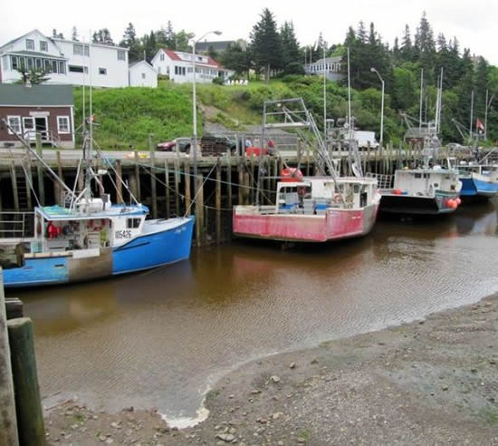 gelgit10.jpg gelgit10.jpg