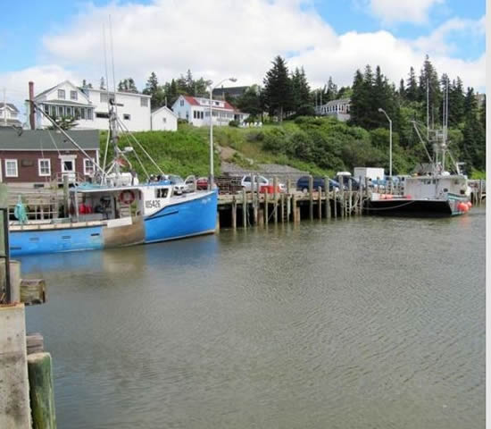 gelgit11.jpg gelgit11.jpg