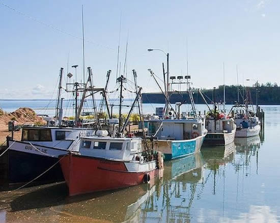 gelgit6.jpg gelgit6.jpg