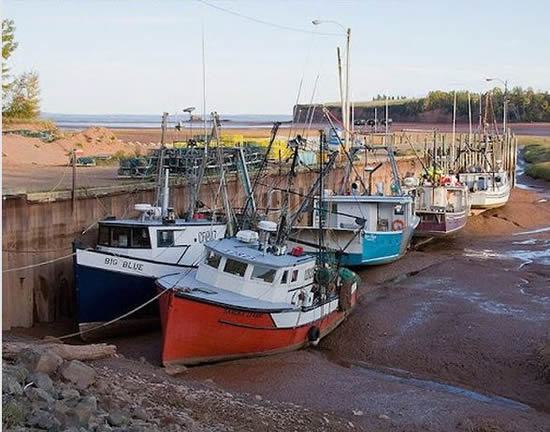 gelgit7.jpg gelgit7.jpg