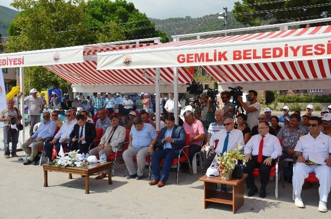 gemlik1-002.jpg gemlik1-002.jpg