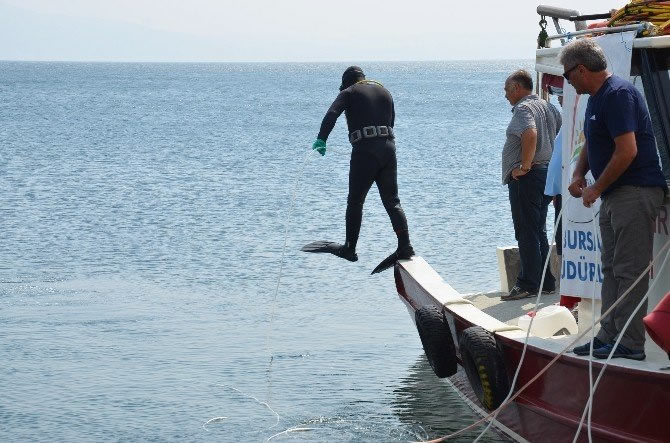 gemlik5.jpg gemlik5.jpg