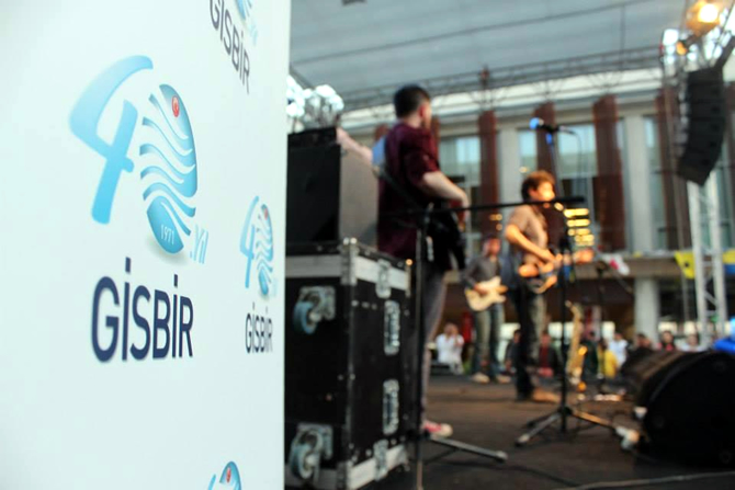 gisbir-013.jpg